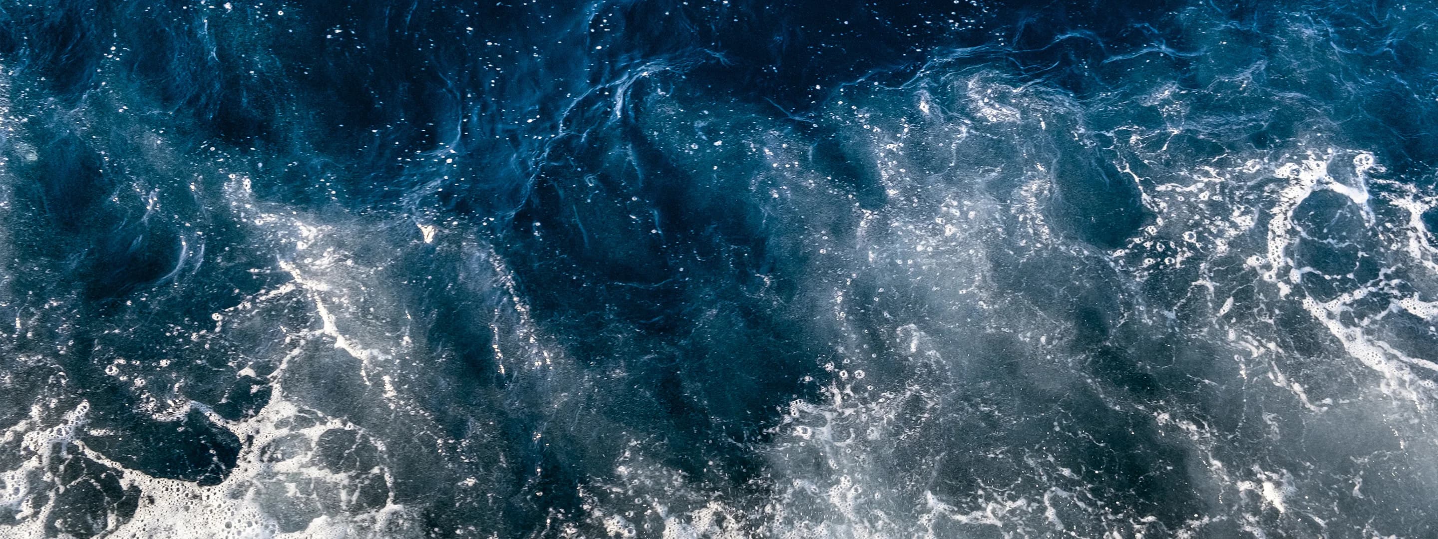NERIO · Oceana Collection Hero